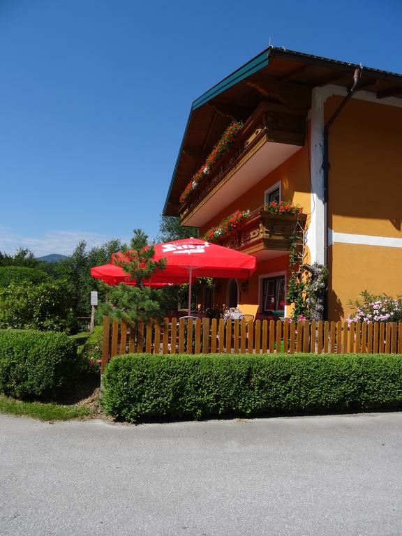 Pension David Hotel Puch bei Hallein Kültér fotó