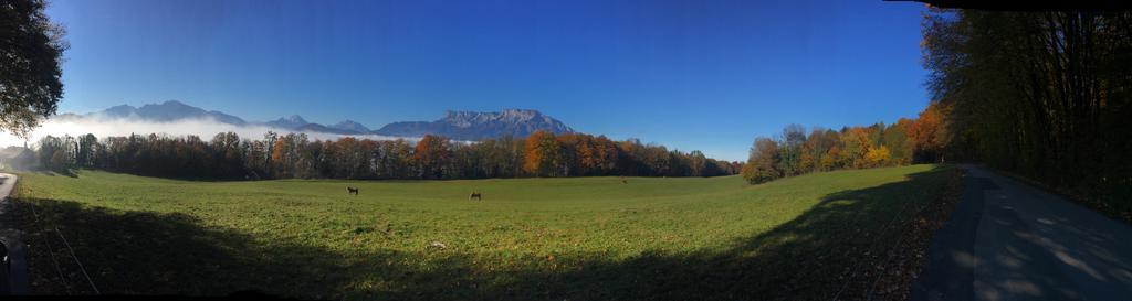 Pension David Hotel Puch bei Hallein Kültér fotó