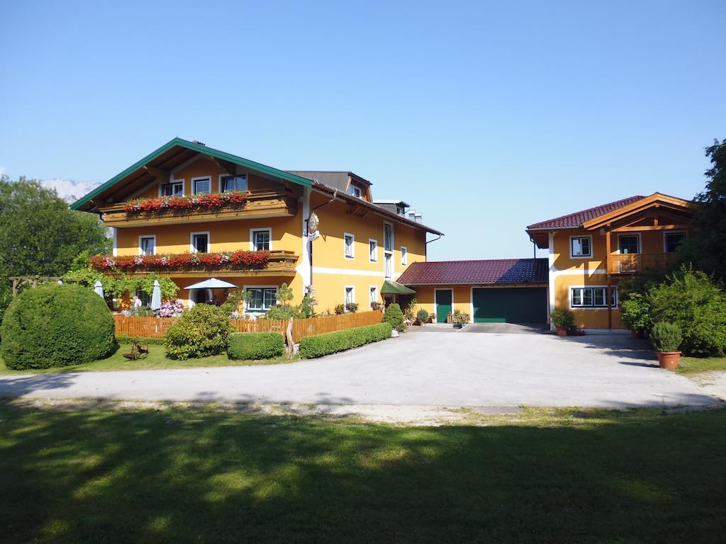 Pension David Hotel Puch bei Hallein Kültér fotó