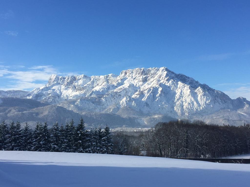 Pension David Hotel Puch bei Hallein Kültér fotó