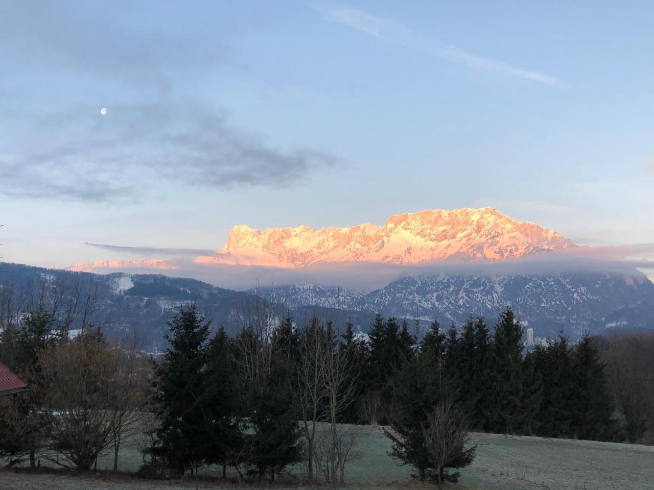 Pension David Hotel Puch bei Hallein Kültér fotó